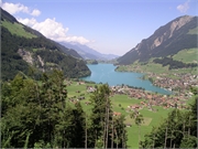 Walter 08.07.08-02.01.200937